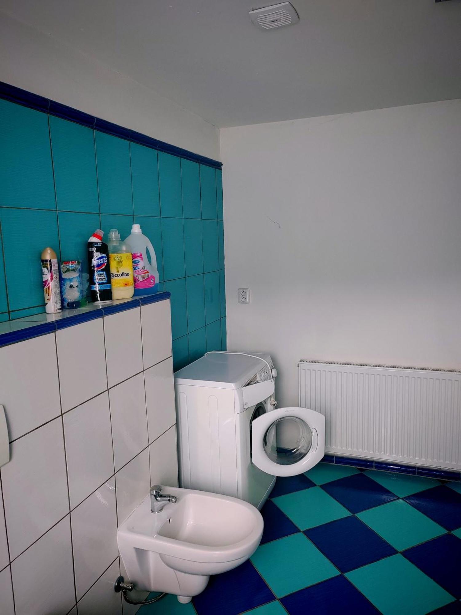 Apartman Sazava エクステリア 写真